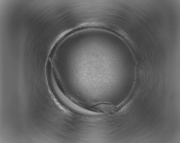 X0000054401030200508121653