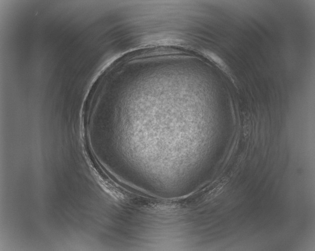 X0000054401031200508121653