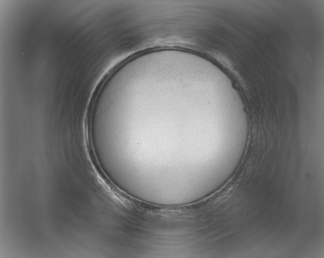 X0000054401032200508121653