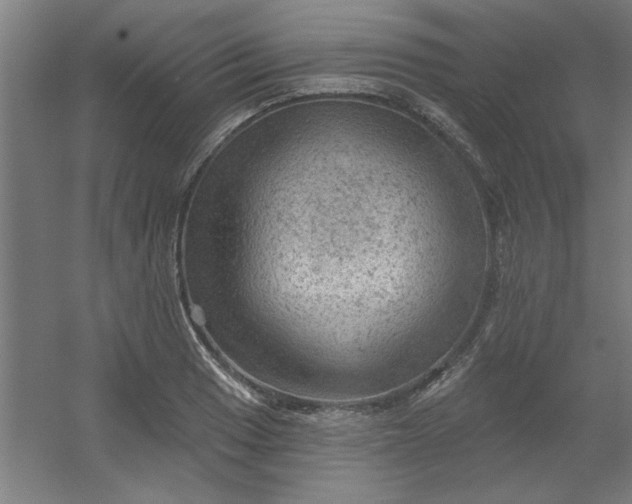 X0000054401033200508121653