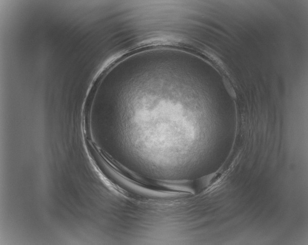 X0000054401034200508121653