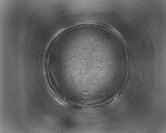 X0000054401035200508121653