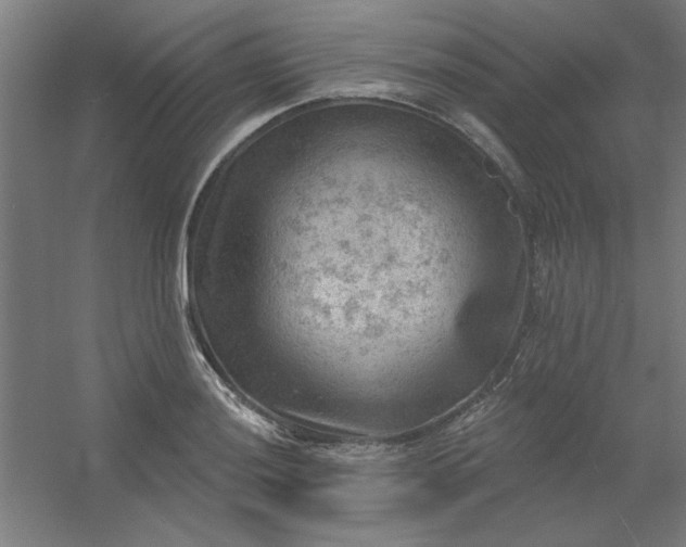 X0000054401036200508121653