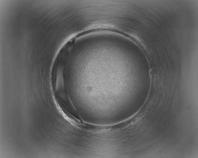 X0000054401038200508121654