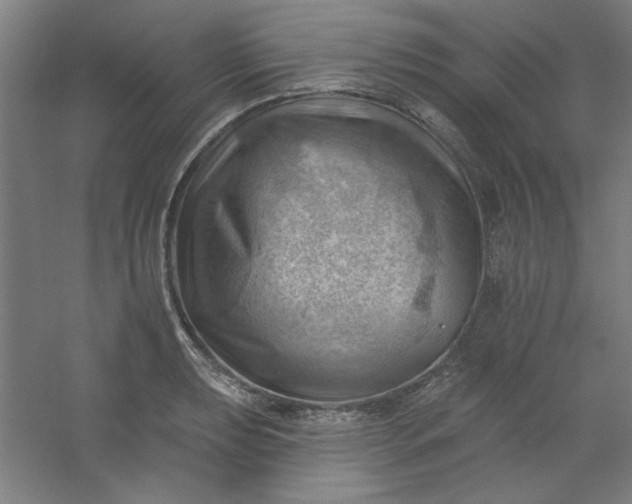 X0000054401039200508121654