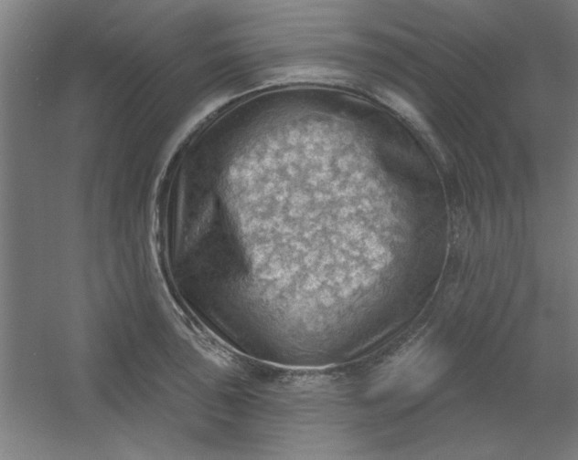 X0000054401043200508121654