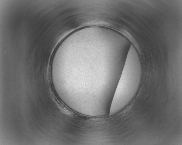 X0000054401044200508121654