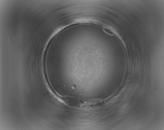 X0000054401045200508121654