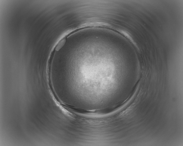 X0000054401046200508121654