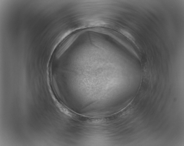 X0000054401047200508121654