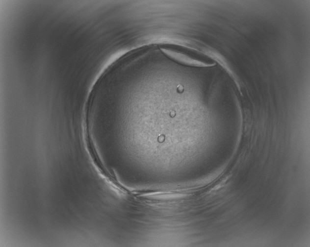 X0000054401048200508121654