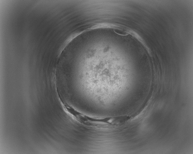 X0000054401049200508121654