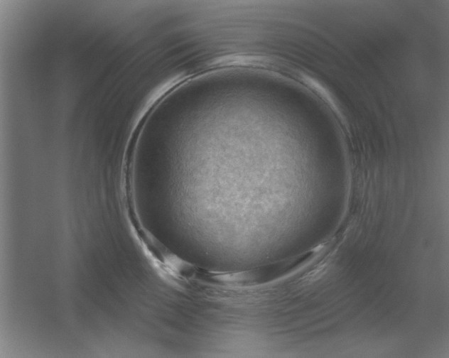 X0000054401050200508121654