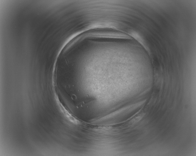 X0000054401052200508121654