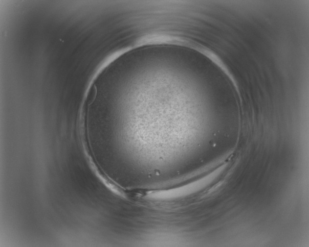 X0000054401053200508121654