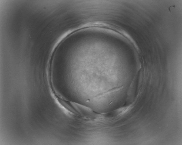 X0000054401054200508121654