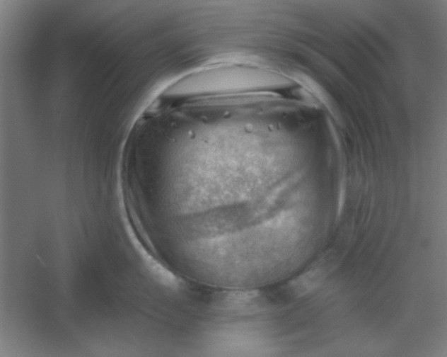 X0000054401055200508121654