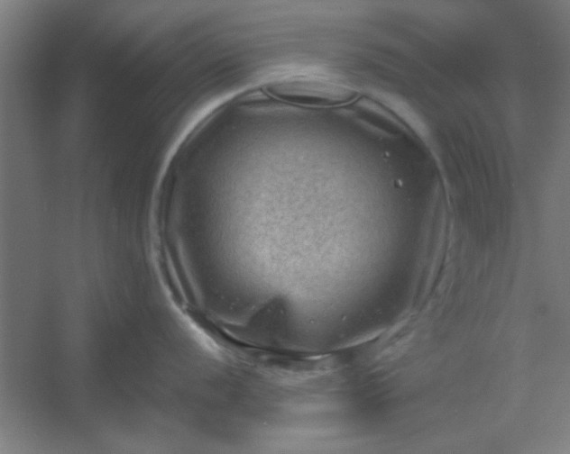 X0000054401056200508121654