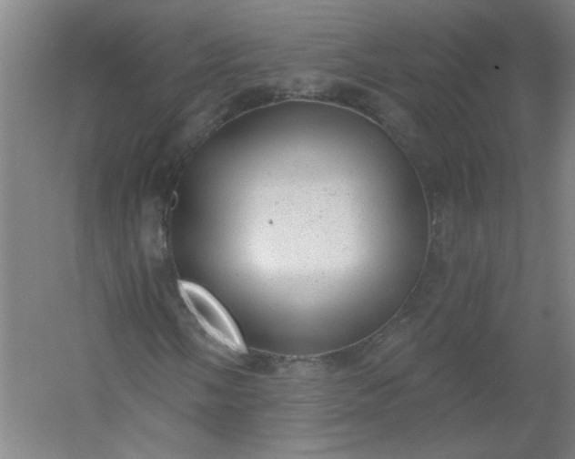 X0000054401058200508121653