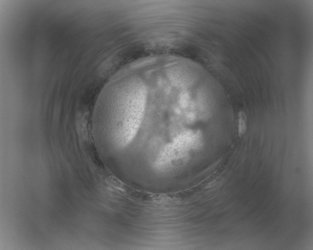 X0000054401059200508121653