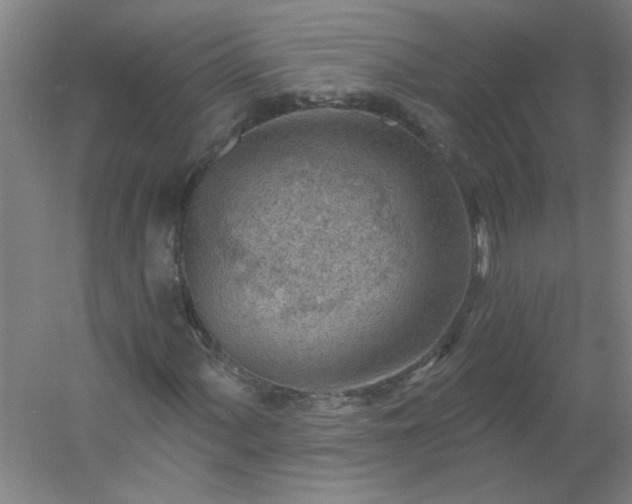 X0000054401060200508121653