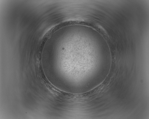 X0000054401064200508121653