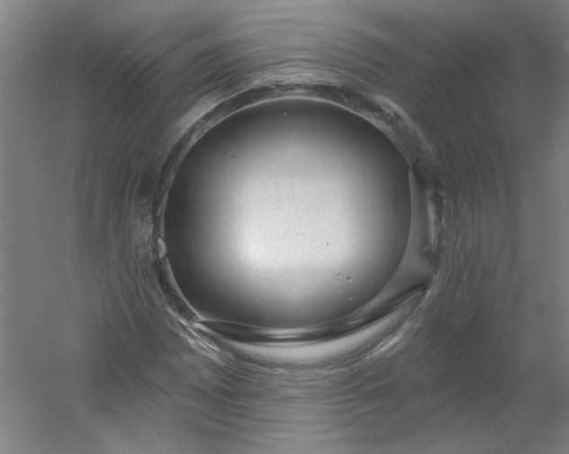 X0000054401065200508121653