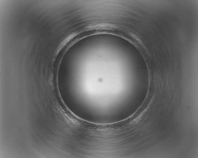 X0000054401066200508121653