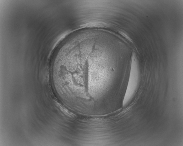 X0000054401067200508121653