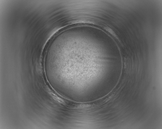 X0000054401068200508121653