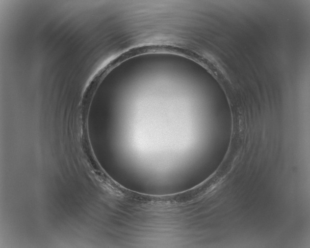 X0000054401069200508121653