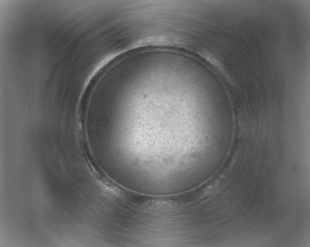 X0000054401070200508121653