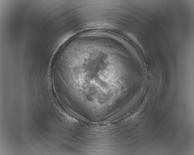 X0000054401071200508121653