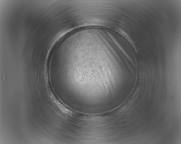 X0000054401072200508121653