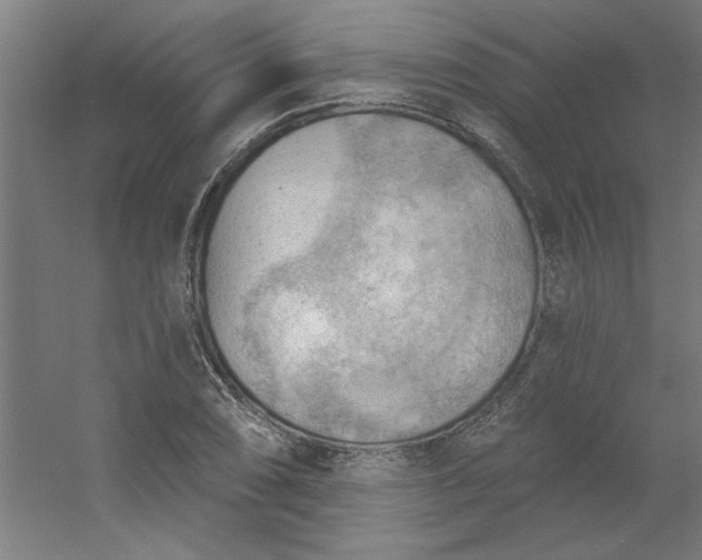 X0000054401074200508121653