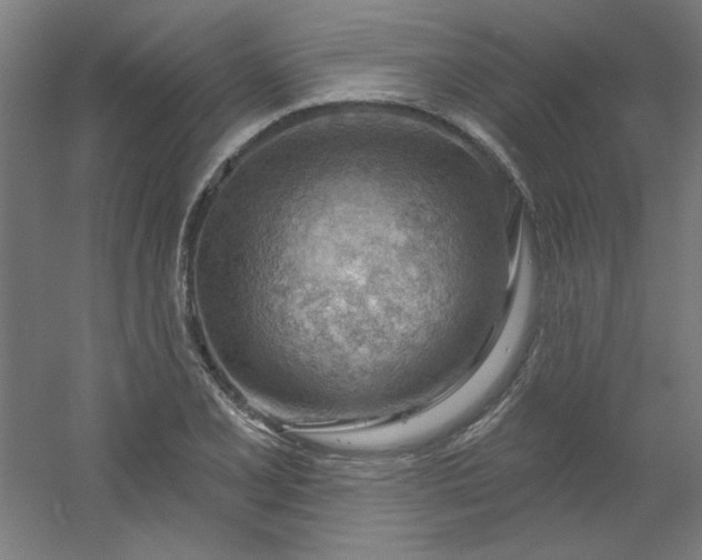 X0000054401077200508121653