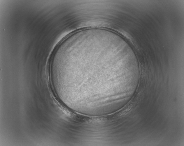 X0000054401078200508121653