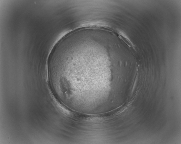 X0000054401079200508121653