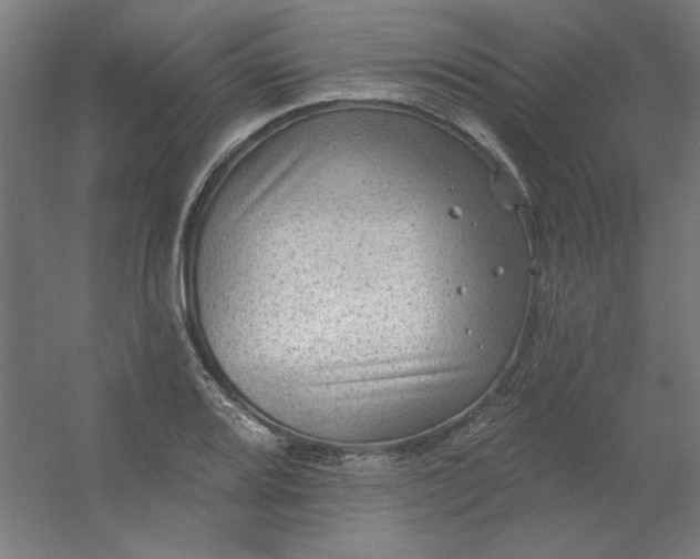 X0000054401080200508121653