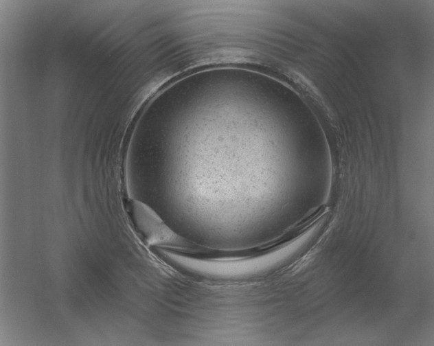 X0000054401081200508121653