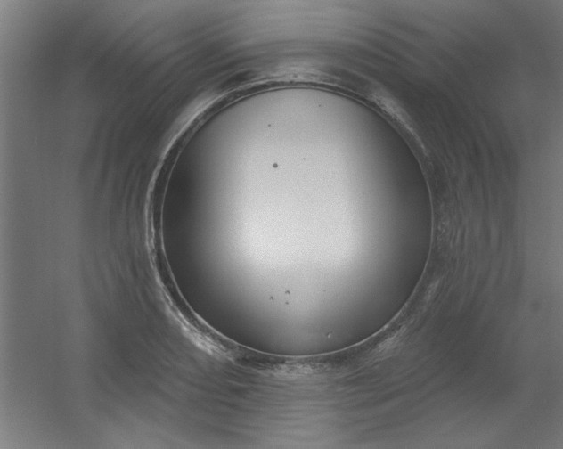 X0000054401082200508121653