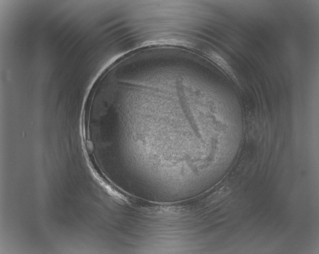 X0000054401084200508121653