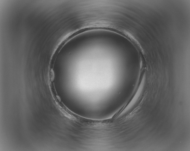 X0000054401085200508121653