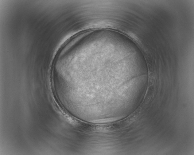 X0000054401086200508121653