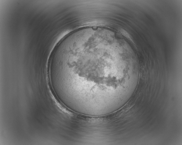 X0000054401087200508121652