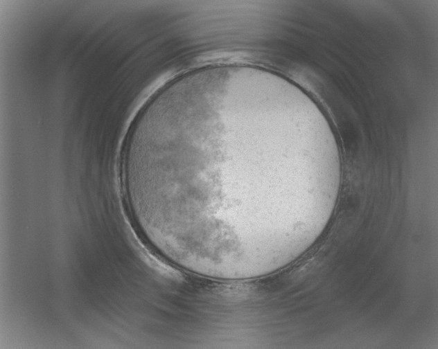 X0000054401090200508121652