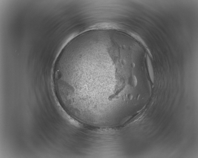 X0000054401091200508121652