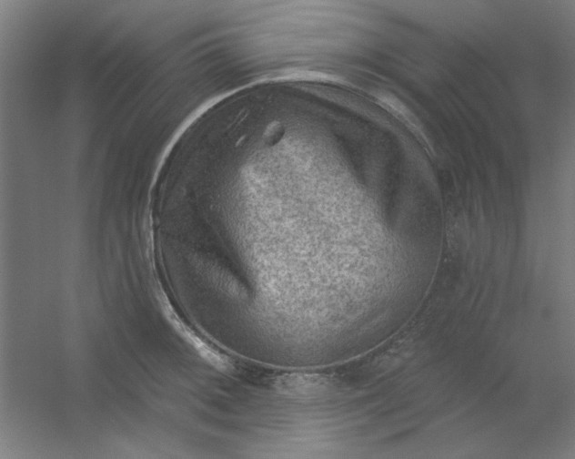 X0000054401092200508121652