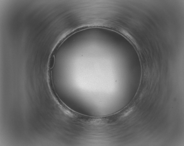 X0000054401093200508121652