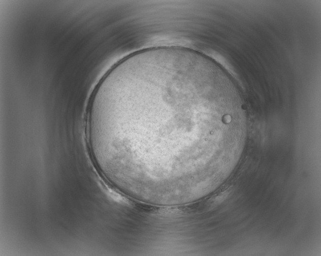 X0000054401094200508121652